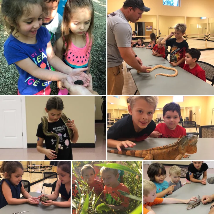 Critter Classes photo